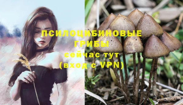 таблы Магас