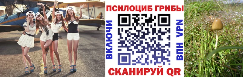 площадка Telegram  Стерлитамак  Псилоцибиновые грибы Magic Shrooms 