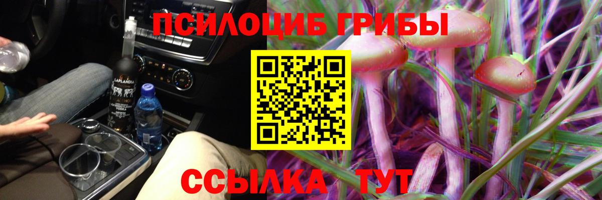 Псилоцибиновые грибы Magic Shrooms  Вход с VPN  Стерлитамак  Галлюциногенные грибы прущие грибы 
